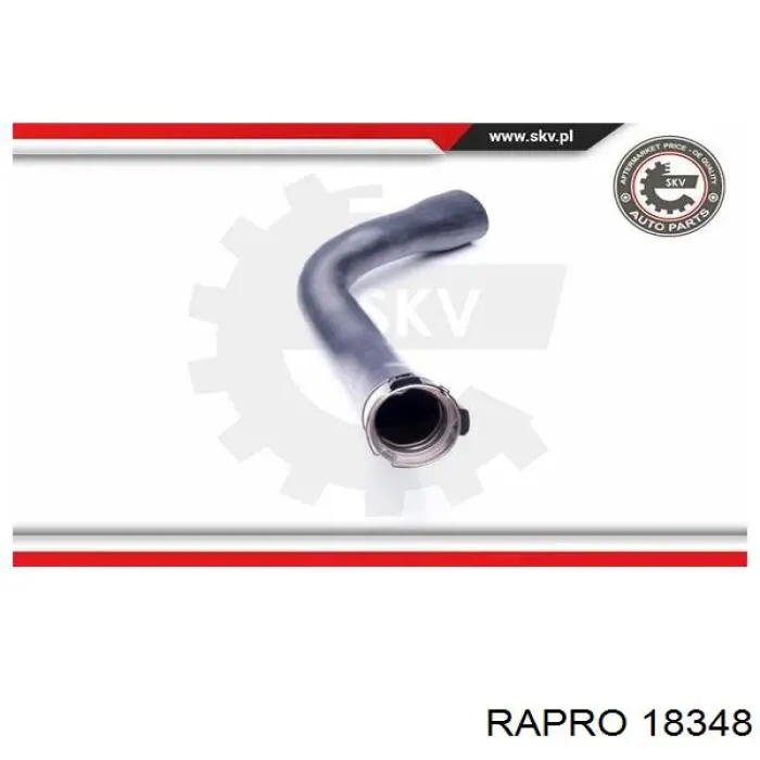 18348 Rapro