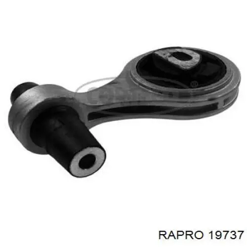 19737 Rapro