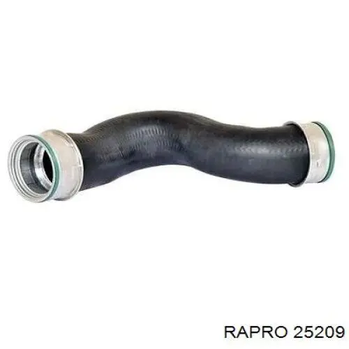25209 Rapro