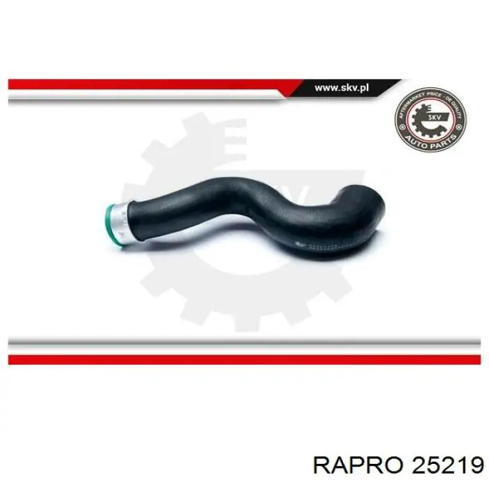 25219 Rapro