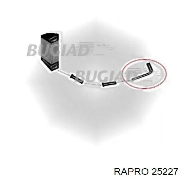 25227 Rapro