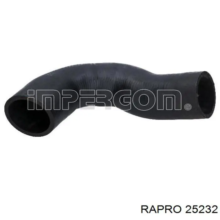25232 Rapro