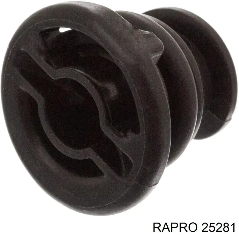 25281 Rapro шланг радиатора отопителя (печки, подача)