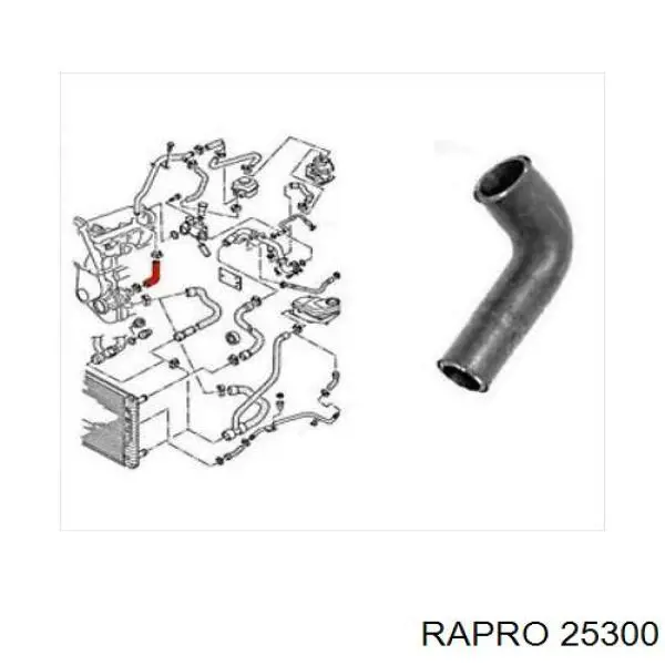 25300 Rapro