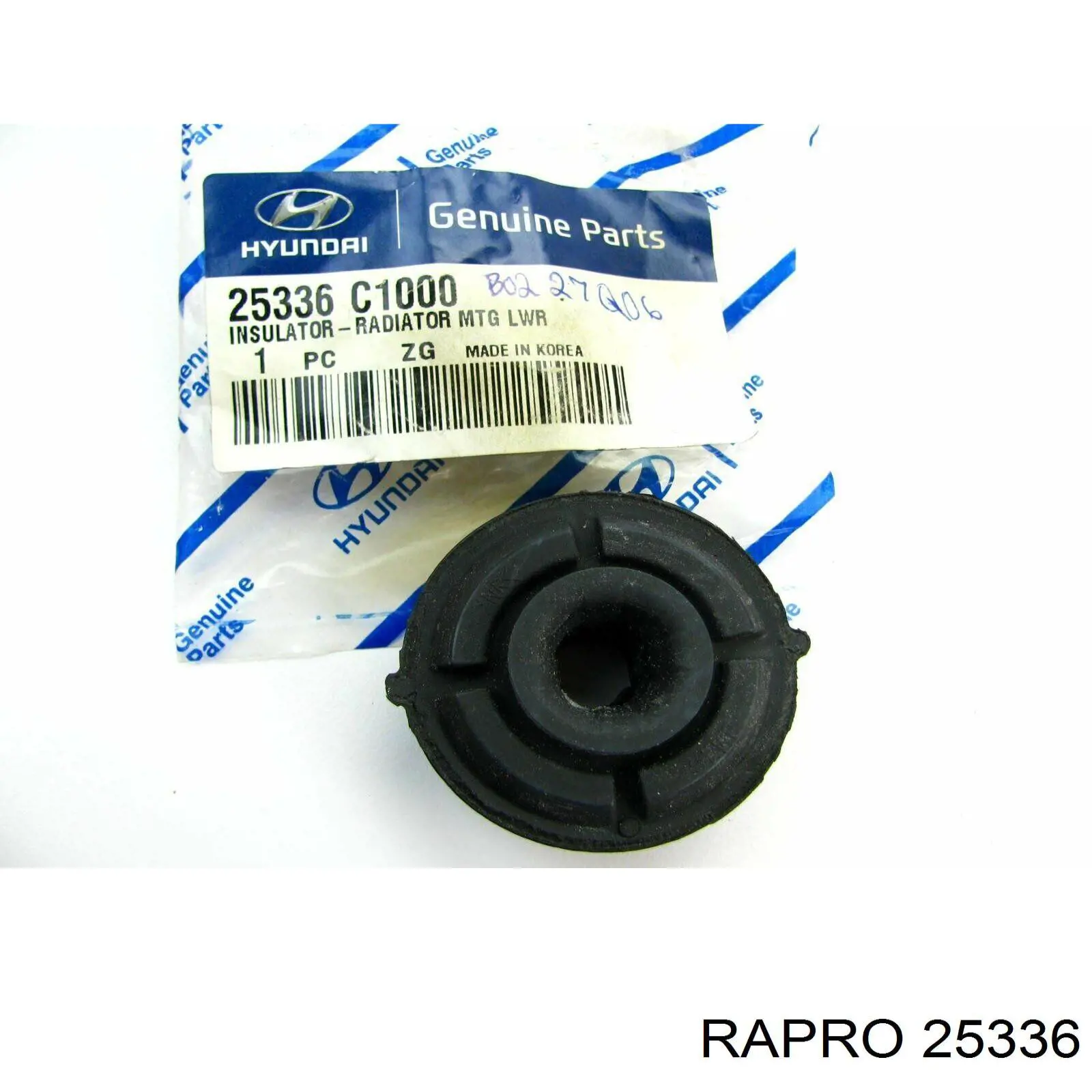 25336 Rapro mangueira (cano derivado inferior de intercooler)