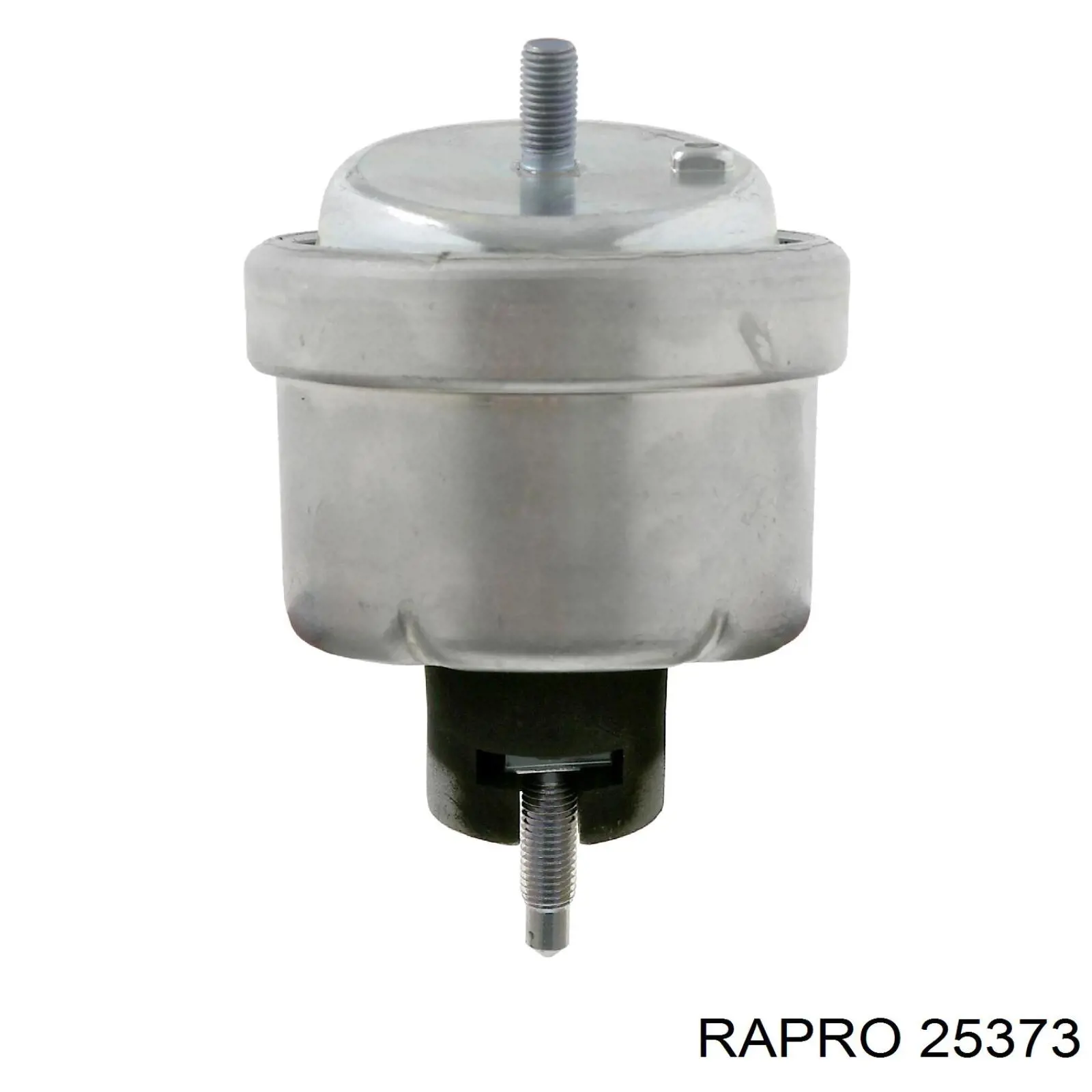 25373 Rapro