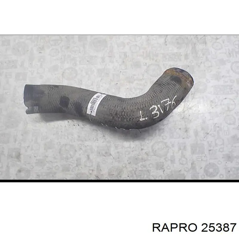 25387 Rapro cano derivado de ar