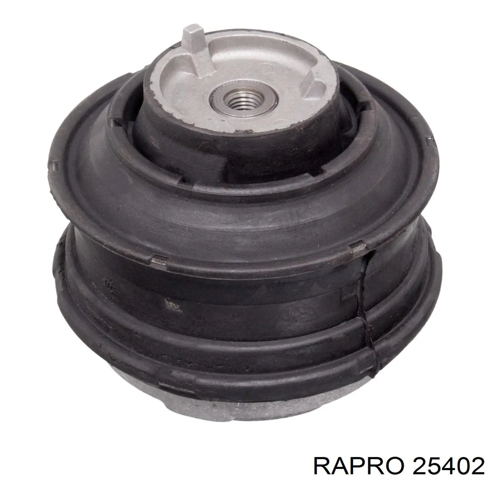 25402 Rapro