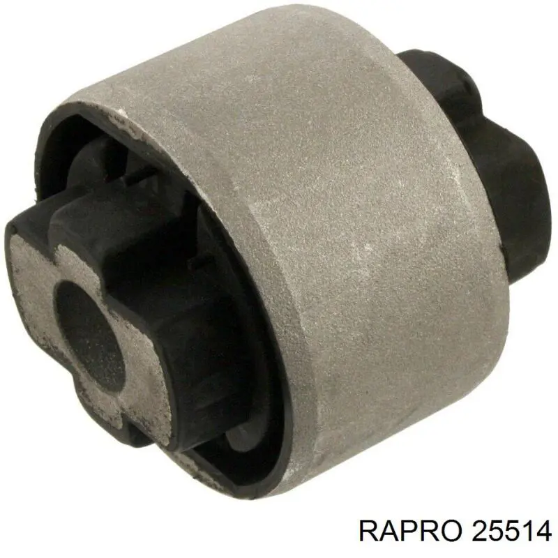 25514 Rapro