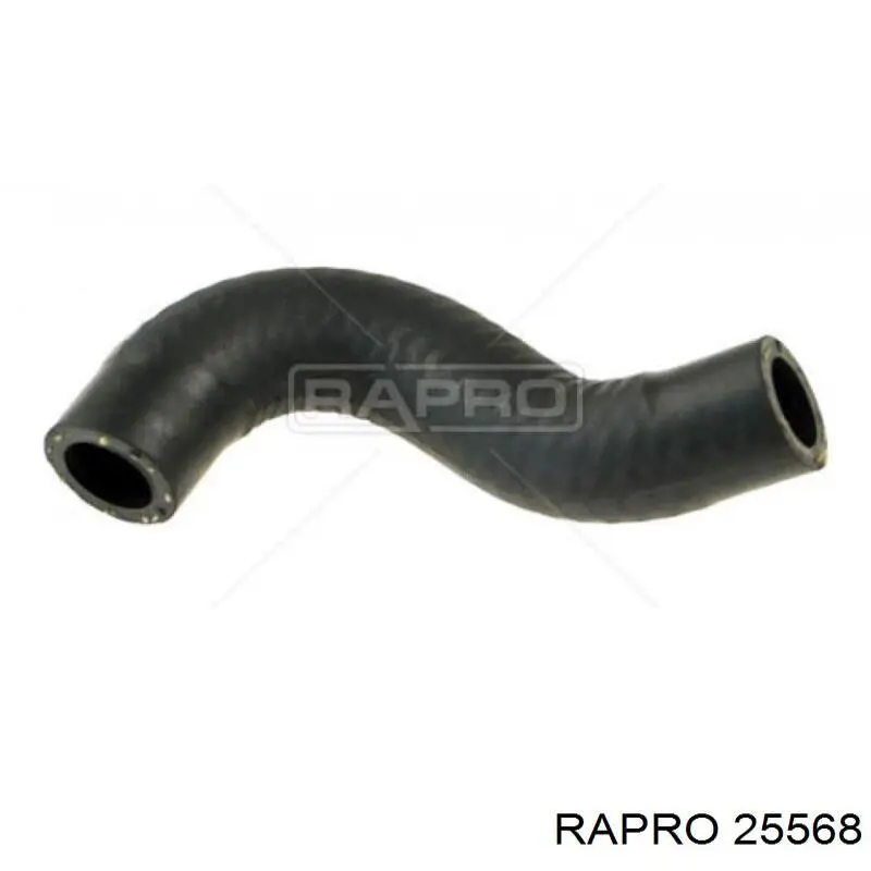 25568 Rapro