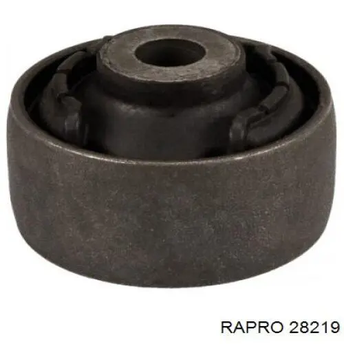 Шланг/патрубок интеркуллера Rapro 28219 цена, от 24.92 USD