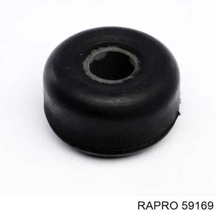 59169 Rapro