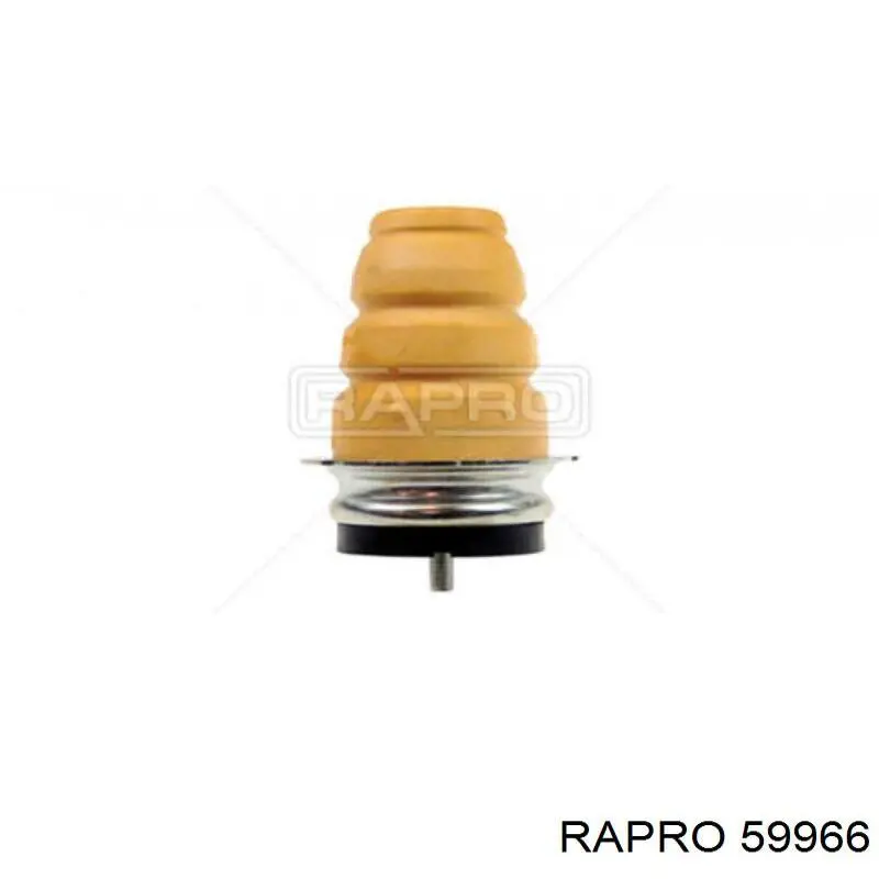 59966 Rapro