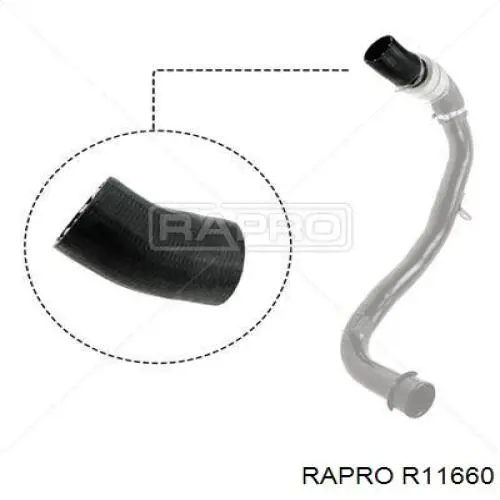 R11660 Rapro mangueira (cano derivado inferior esquerda de intercooler)