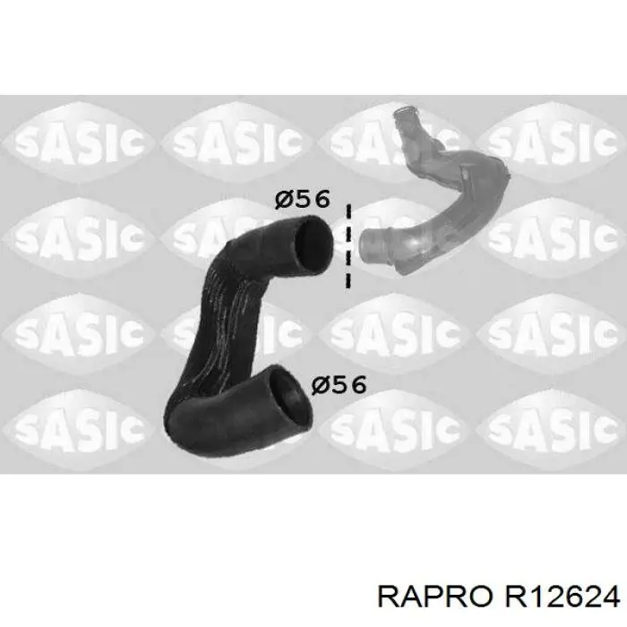 R12624 Rapro