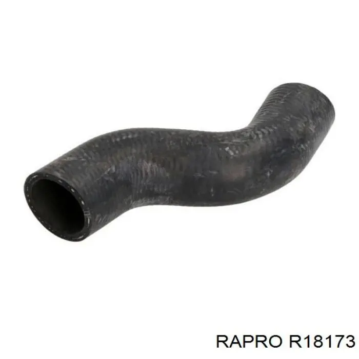 Шланг радиатора охлаждения Rapro R18173 цена, от 7.84 USD