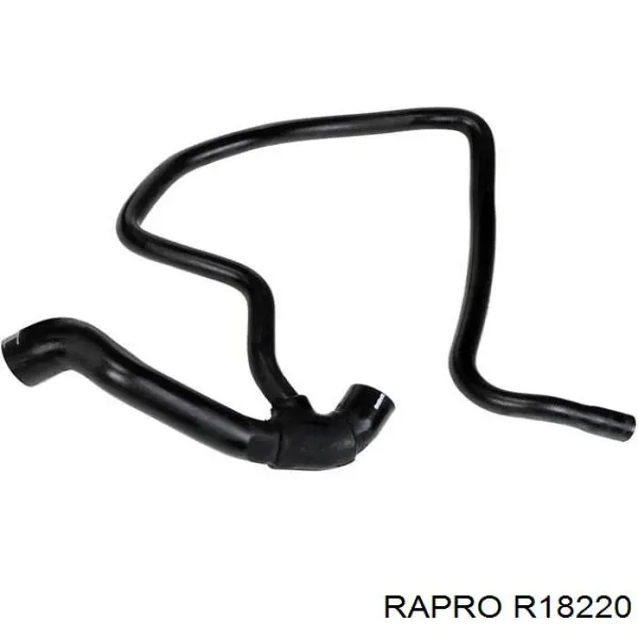 R18220 Rapro шланг (патрубок радиатора охлаждения нижний)