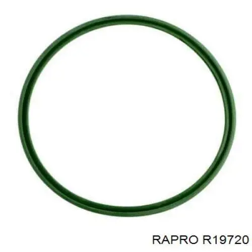 Шланг/патрубок интеркуллера Rapro R19720 цена, от 31.38 USD