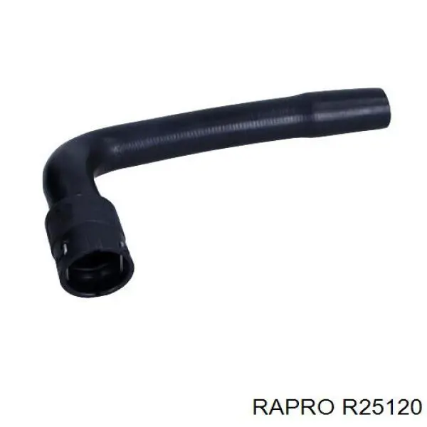 Tubería de radiador arriba R25120 Rapro