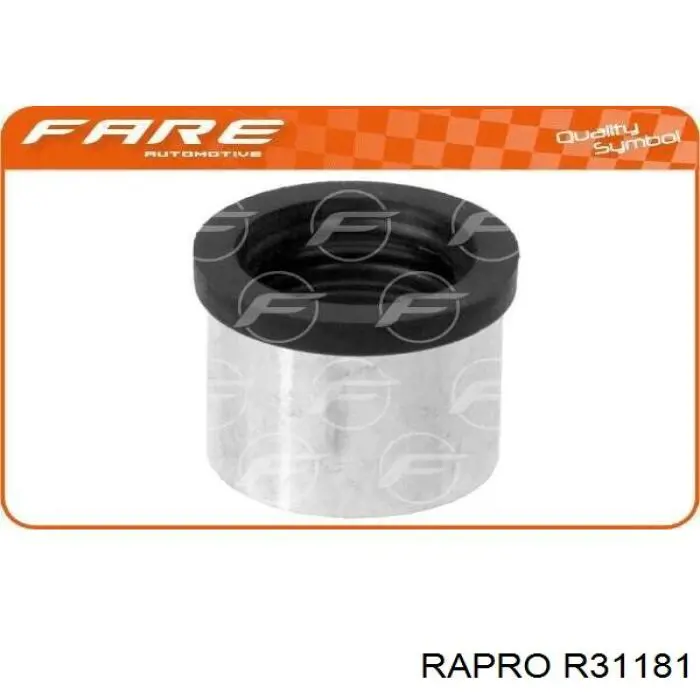 R31181 Rapro