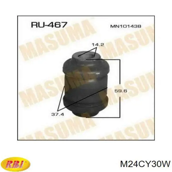 M24CY30W RBI