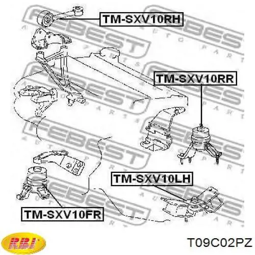Купить T09C02PZ RBI Правая опора двигателя