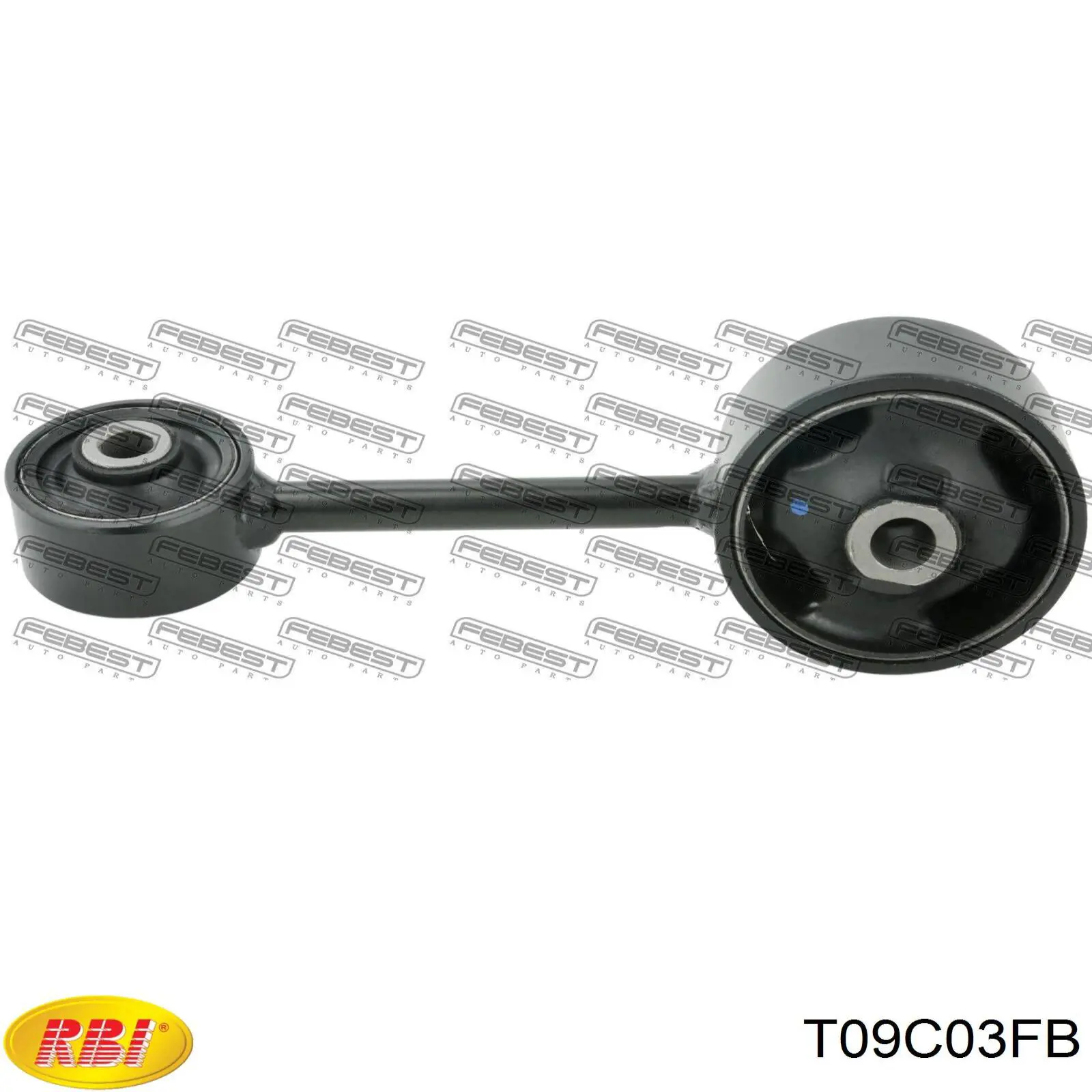 T09C03FB RBI coxim (suporte direito de motor)