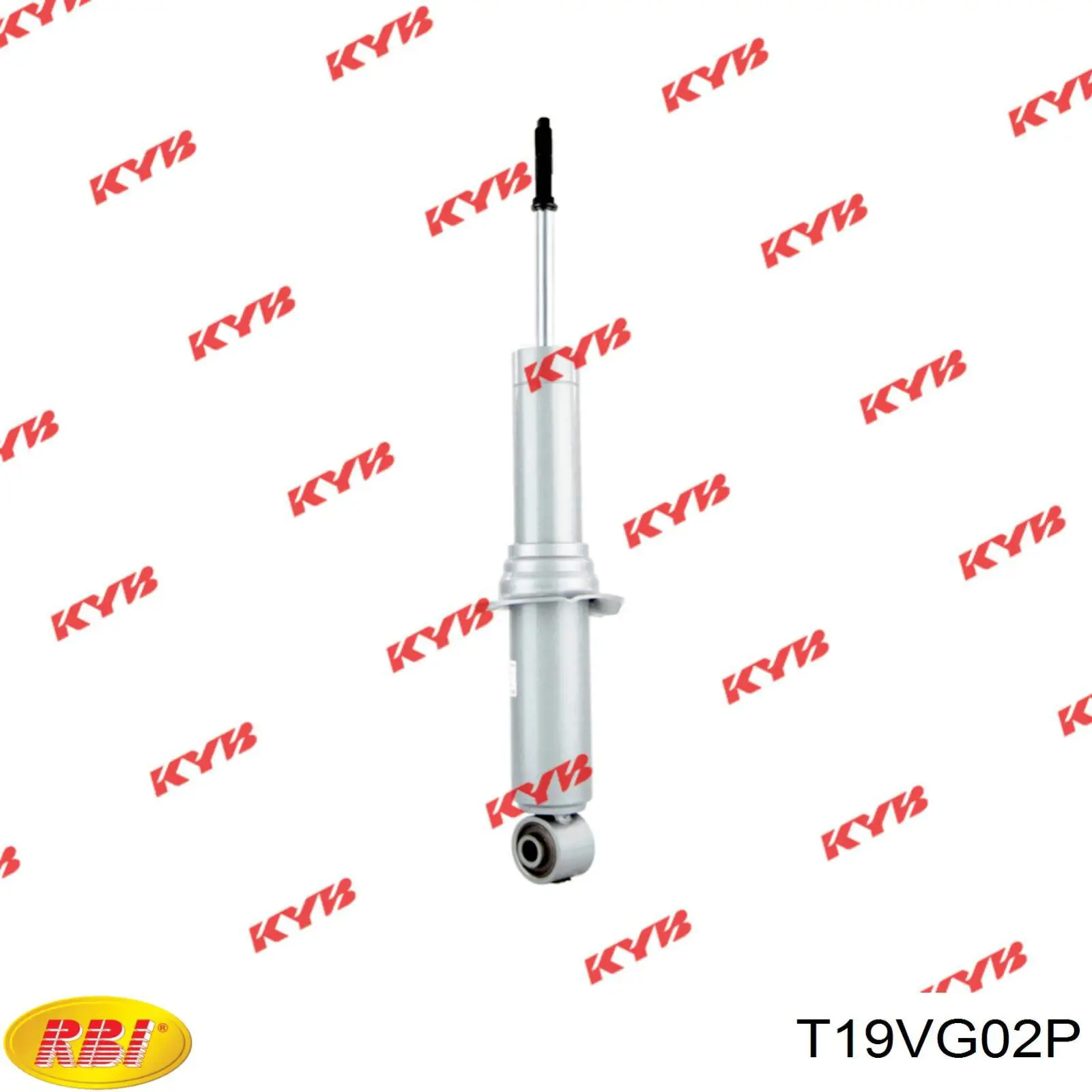 T19VG02P RBI