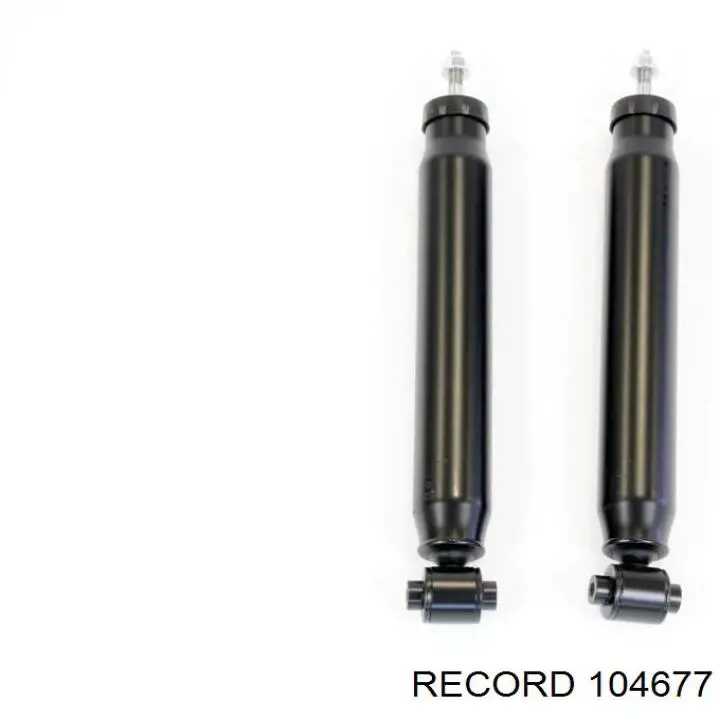 104677 Record Амортизаторы задние