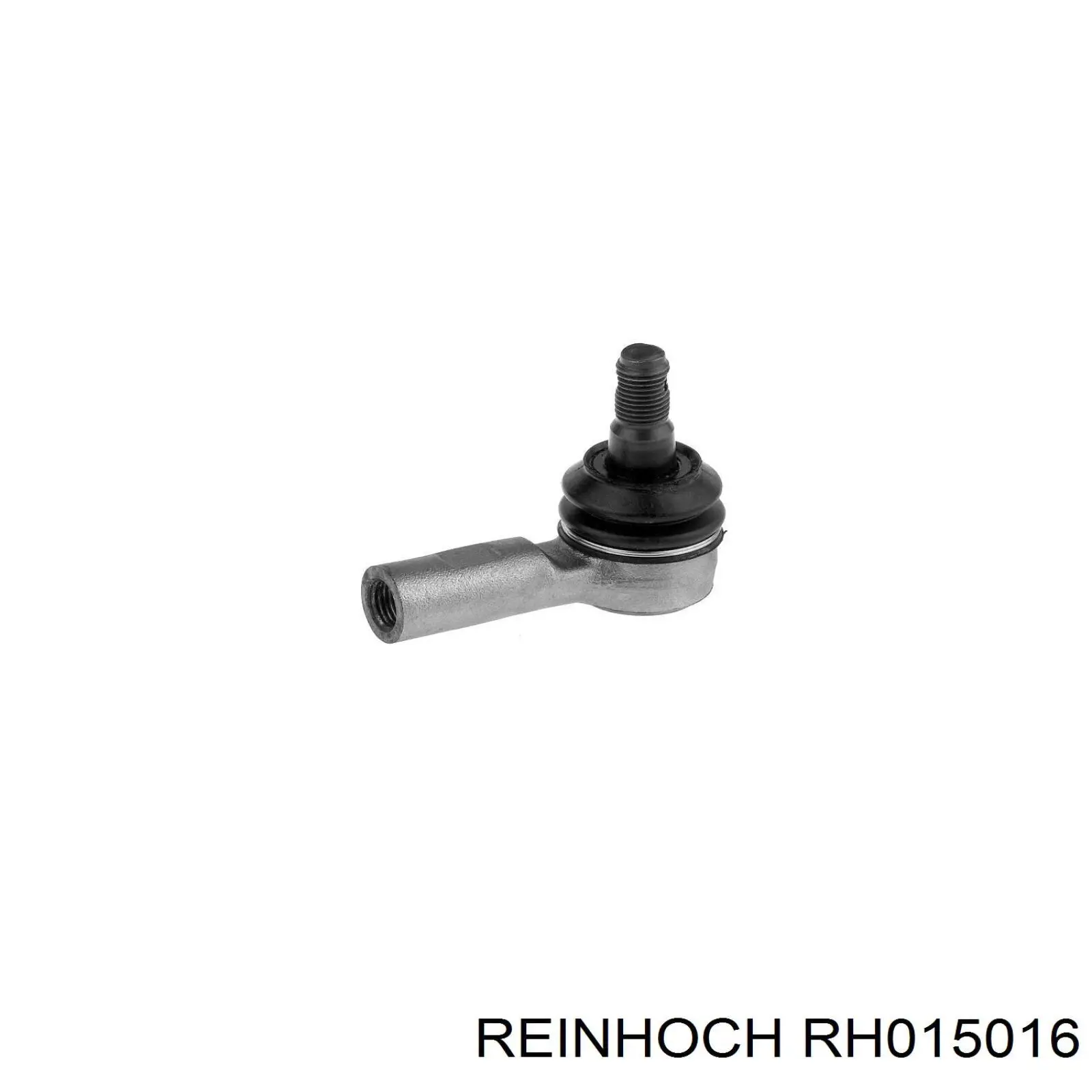 RH015016 Reinhoch