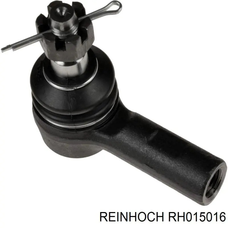 RH015016 Reinhoch 