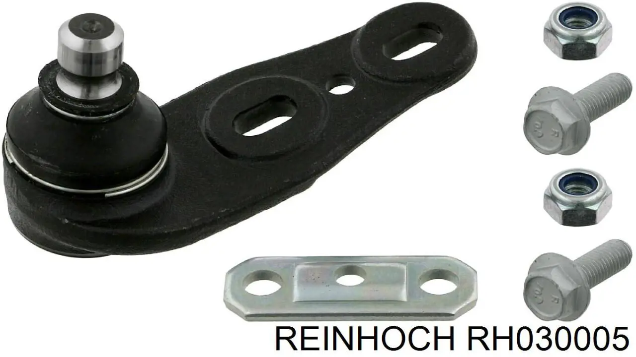 RH030005 Reinhoch