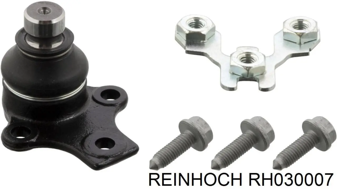 RH030007 Reinhoch