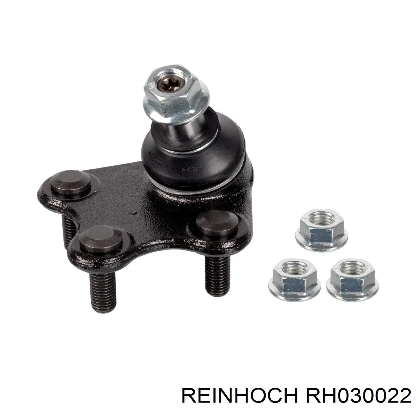 RH030022 Reinhoch