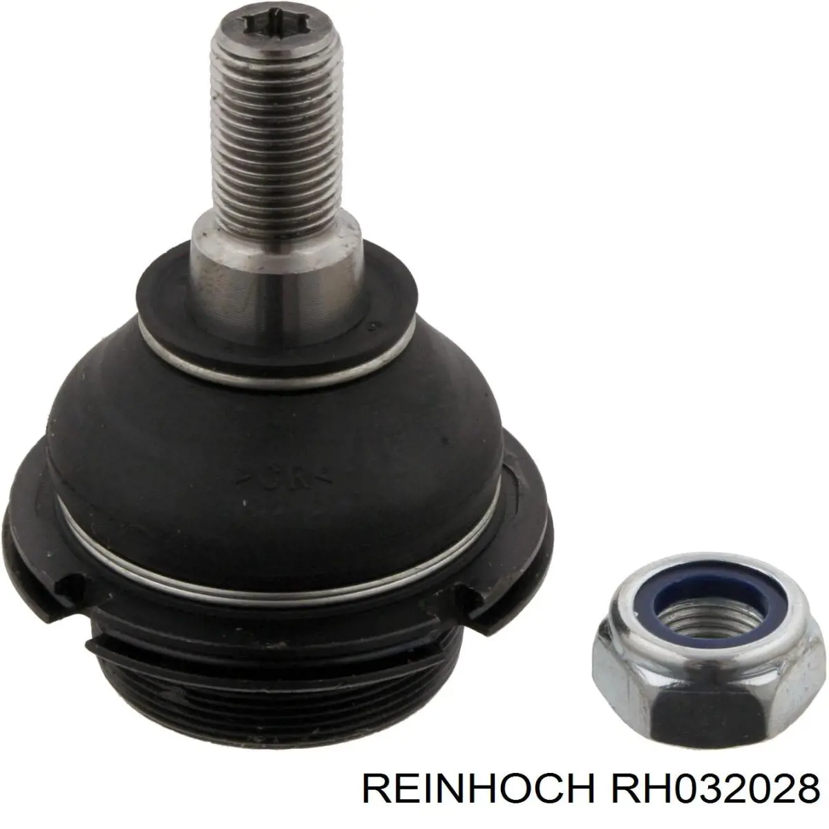 RH032028 Reinhoch