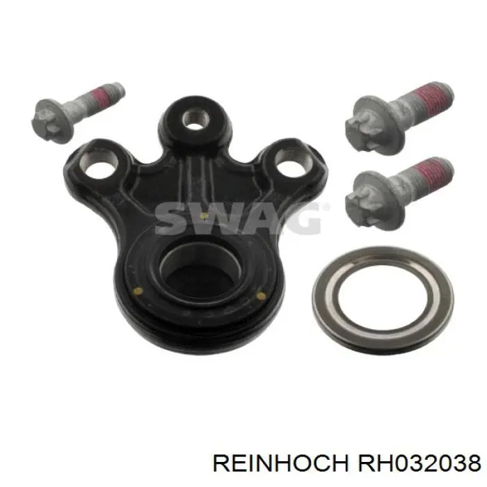 RH032038 Reinhoch