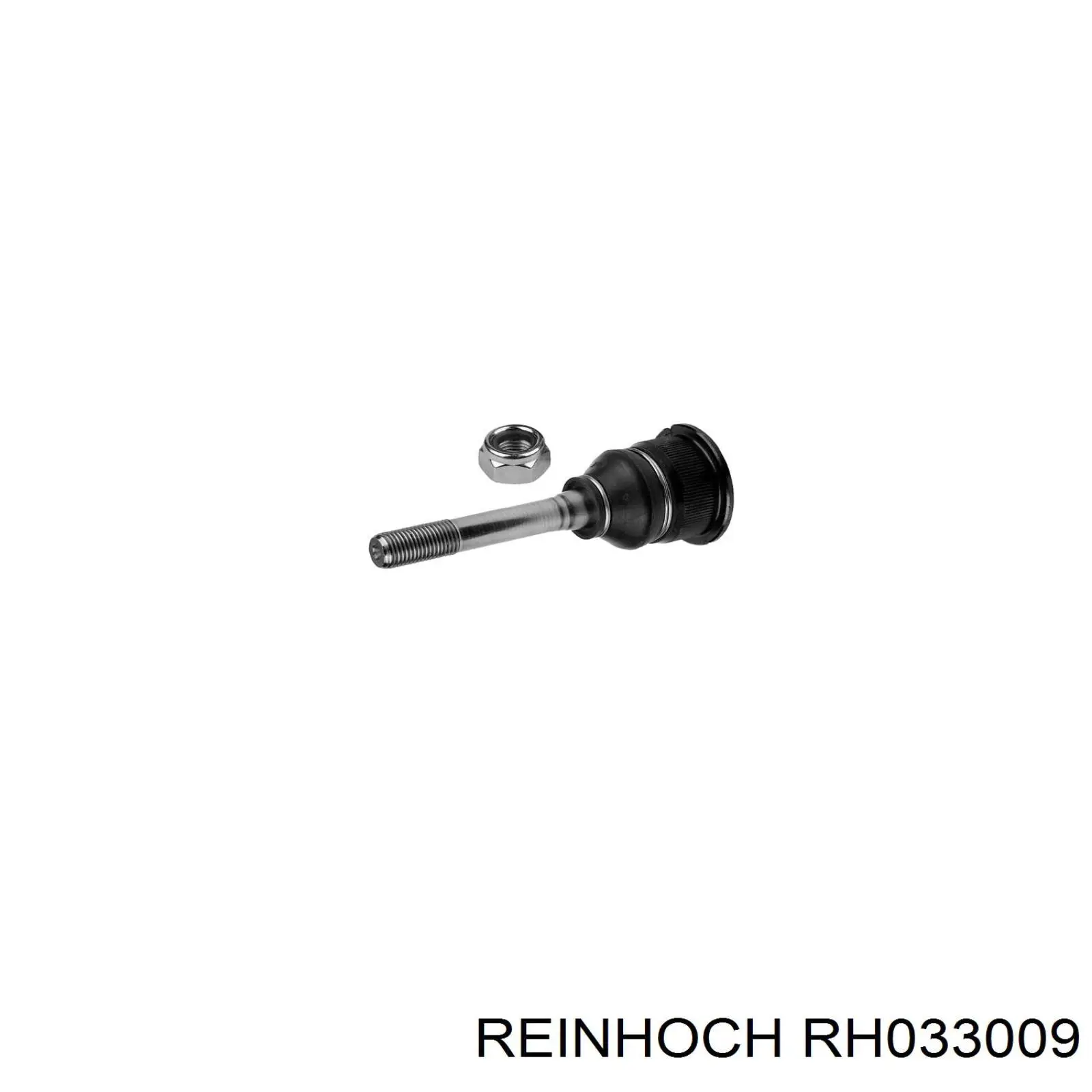 RH033009 Reinhoch