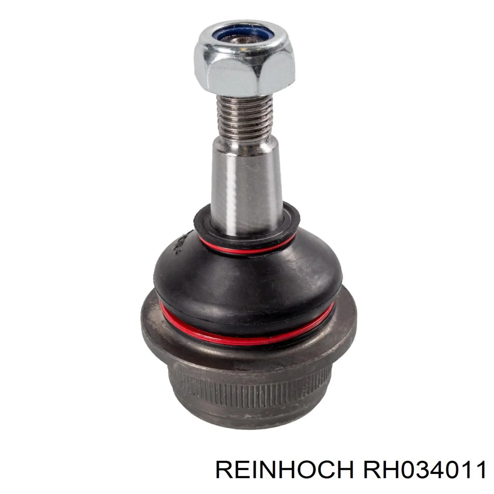 RH034011 Reinhoch