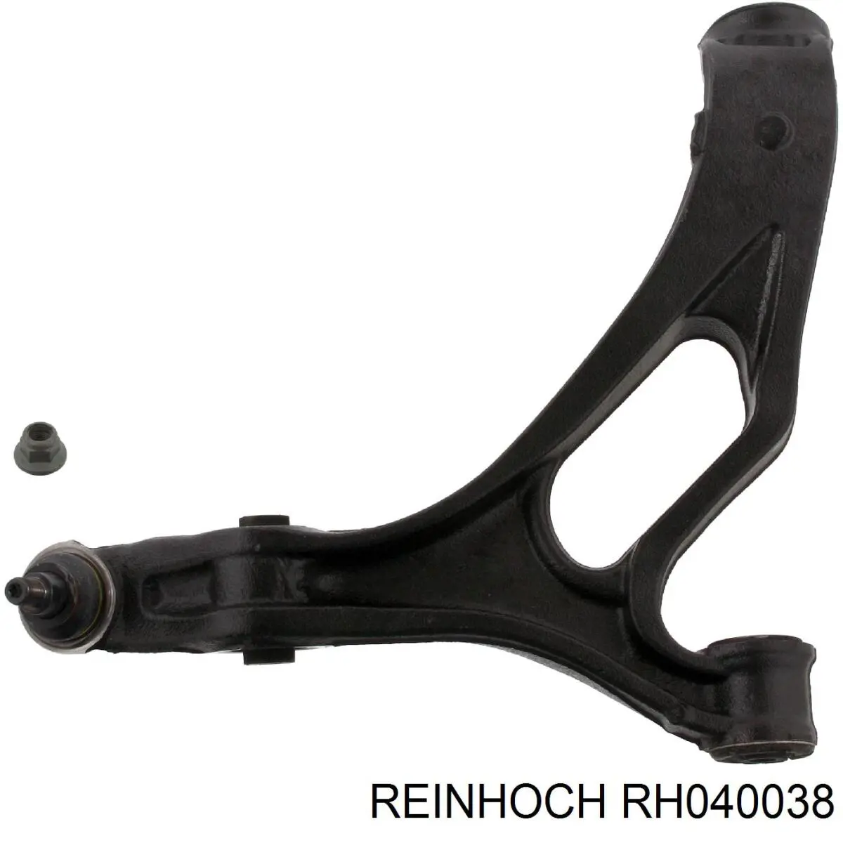 RH040038 Reinhoch