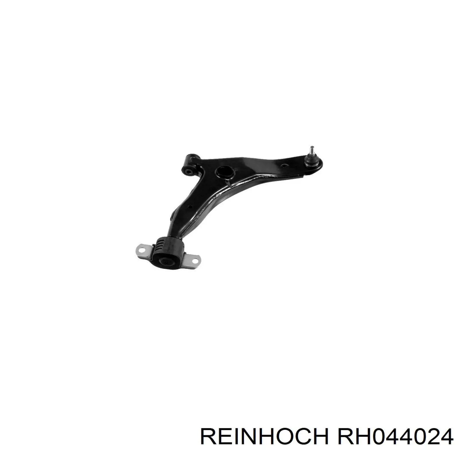 RH044024 Reinhoch