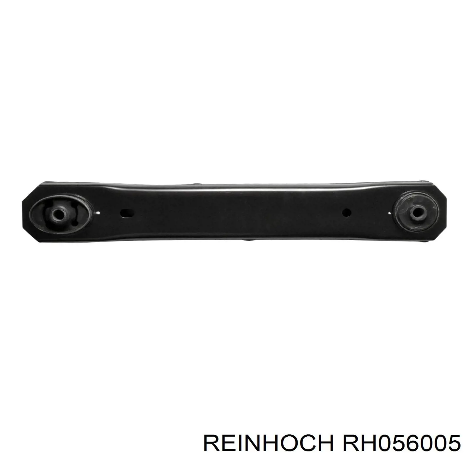 RH056005 Reinhoch 