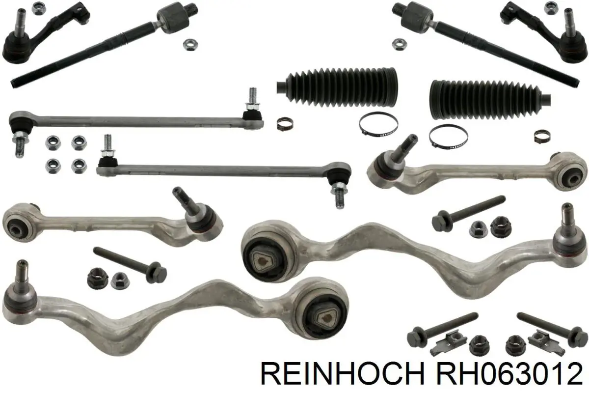 RH063012 Reinhoch