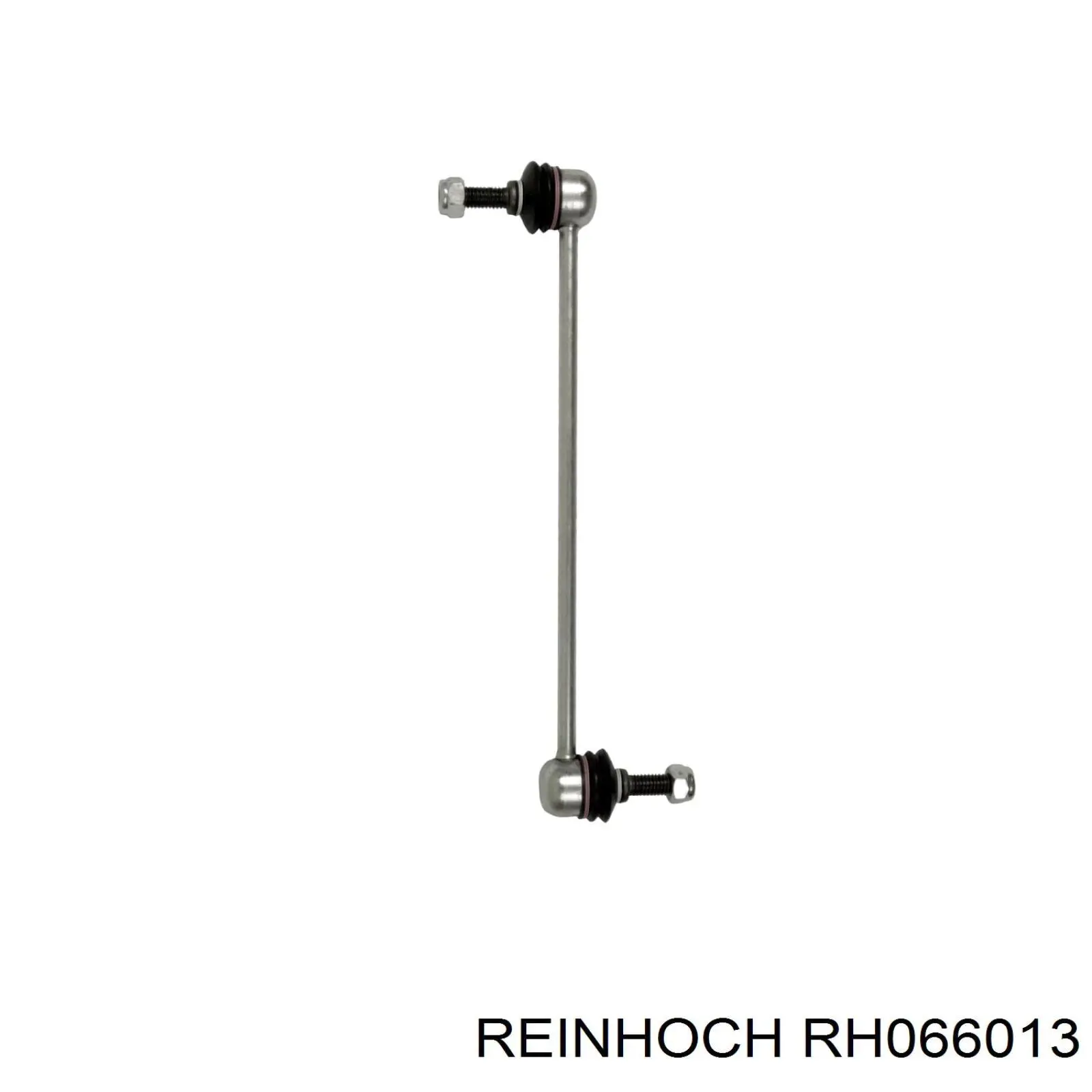 RH066013 Reinhoch