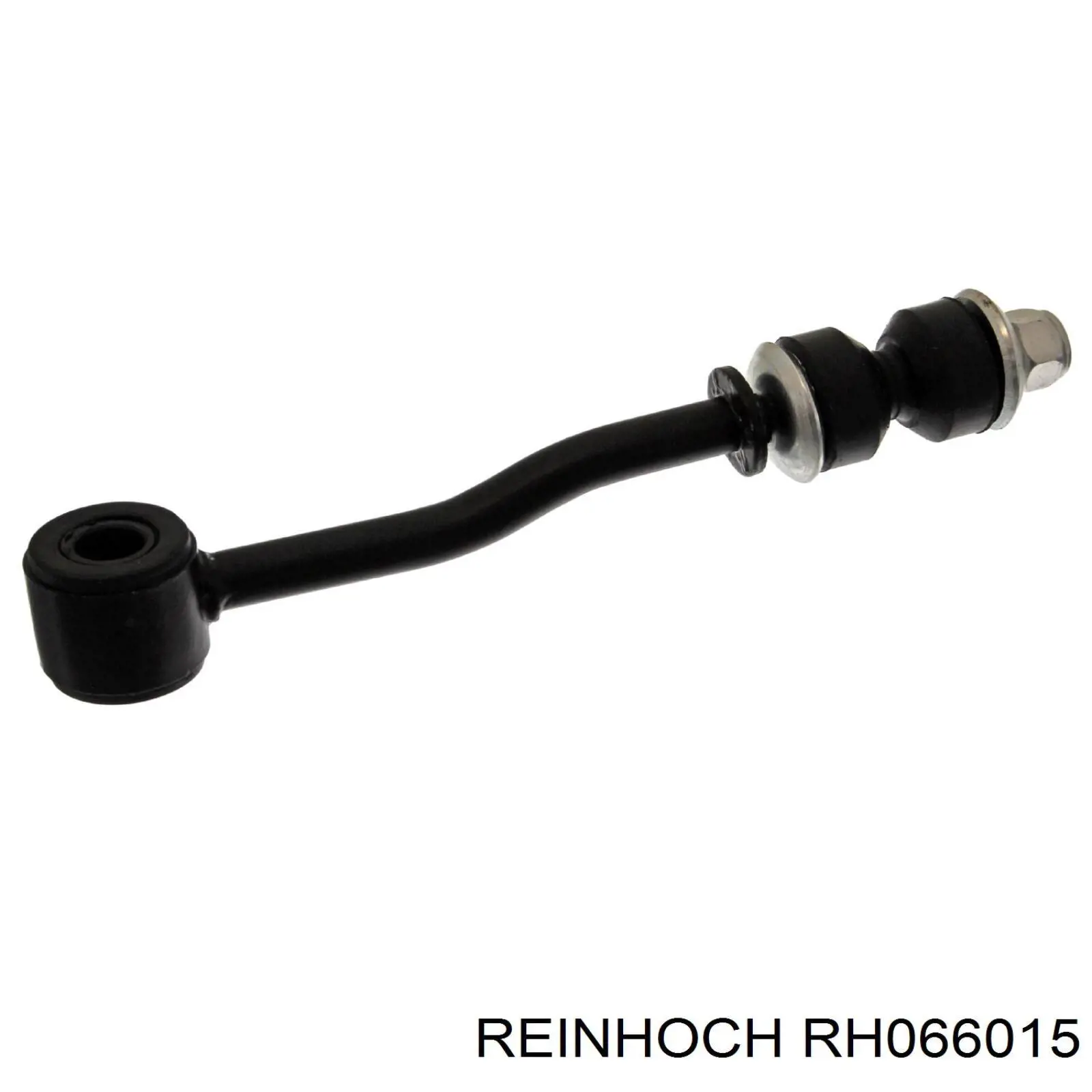 RH066015 Reinhoch