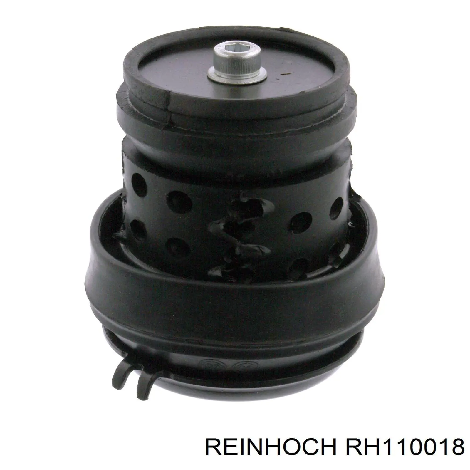 RH110018 Reinhoch