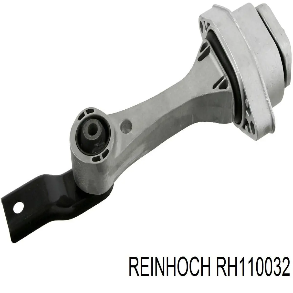 RH110032 Reinhoch 