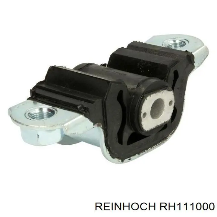 RH111000 Reinhoch