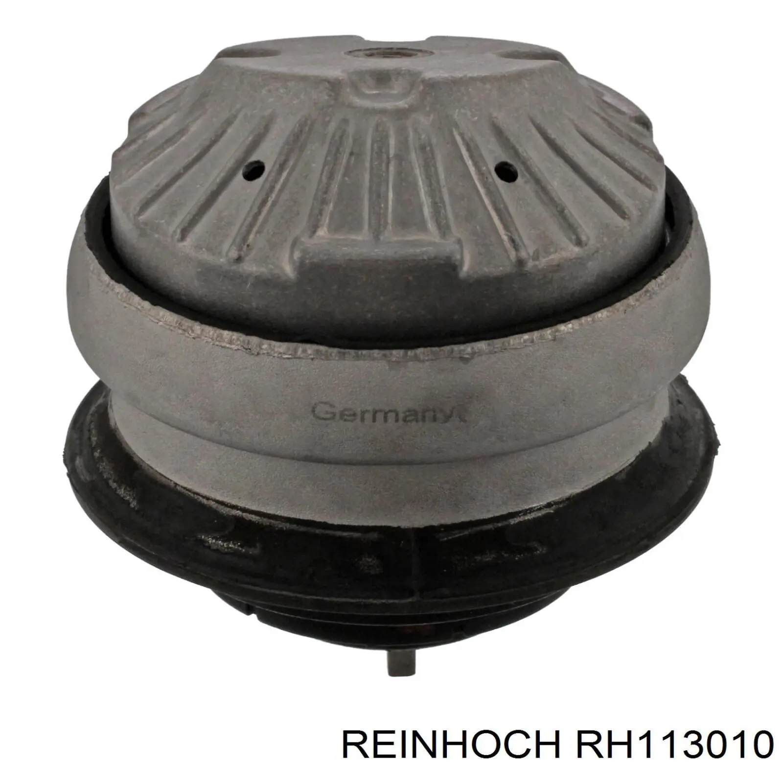 RH113010 Reinhoch