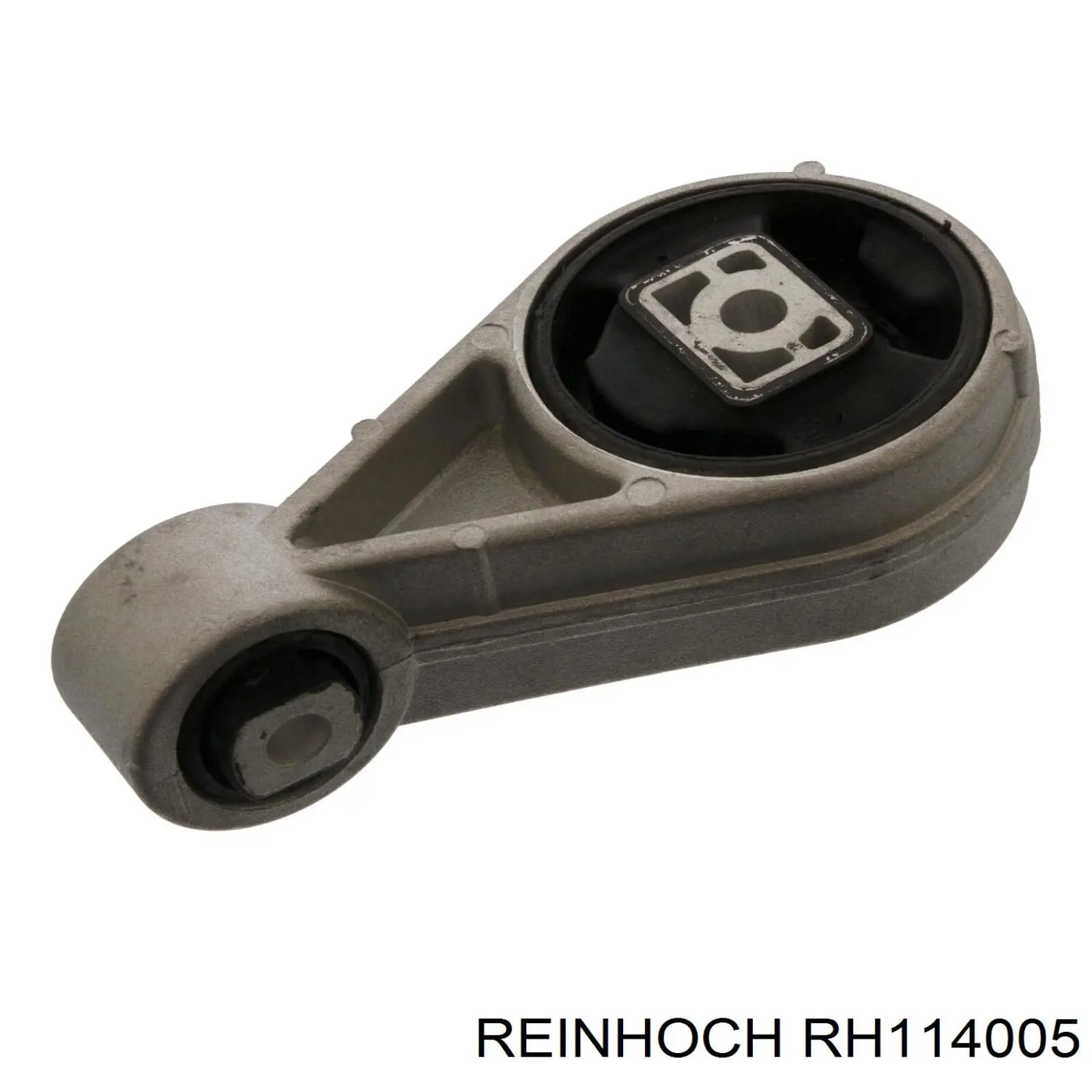 RH114005 Reinhoch