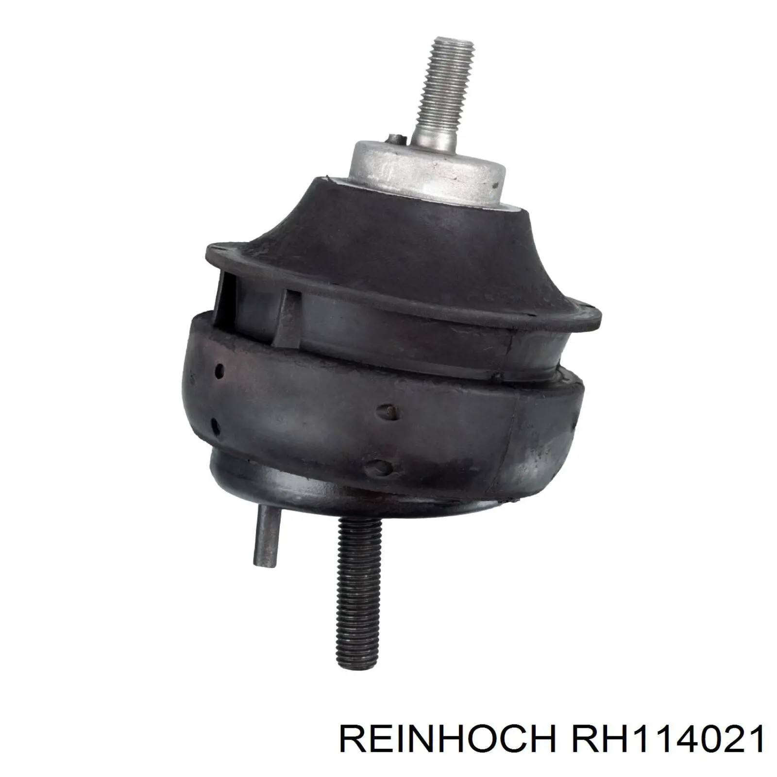 RH114021 Reinhoch